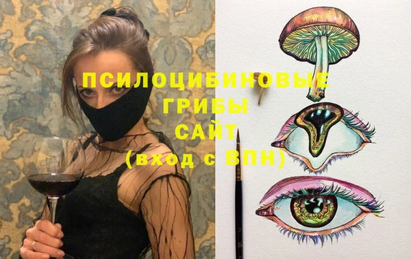 ECSTASY Богданович