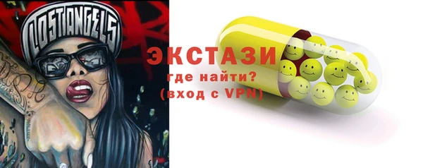 ECSTASY Богданович