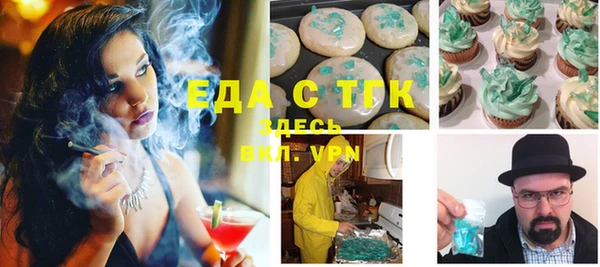ECSTASY Богданович