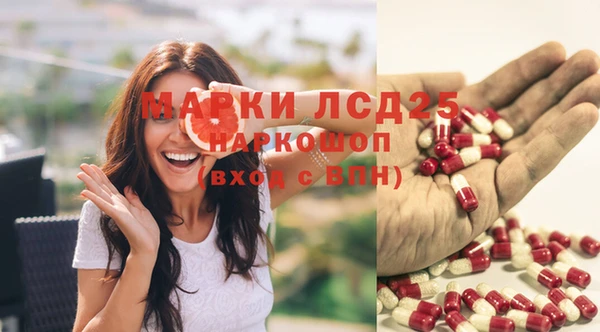 соль ск Богородицк
